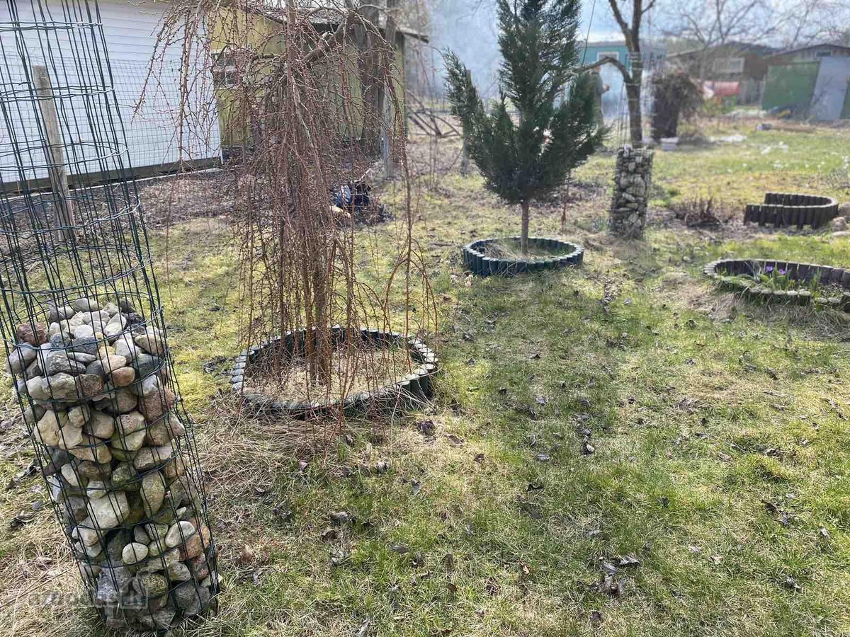Parduodamas sodo sklypas 6 a su mediniu - nuotraukos Nr. 8