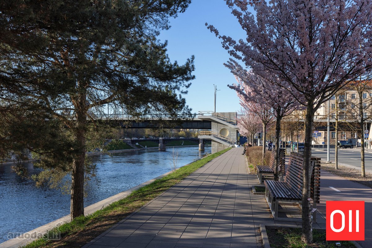 Erdvus 85 m² butas su 12 m² terasa, šiuo metu - nuotraukos Nr. 22