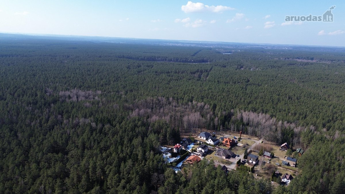 Išskirtinė vieta Vilniaus mieste: tylos ir - nuotraukos Nr. 2
