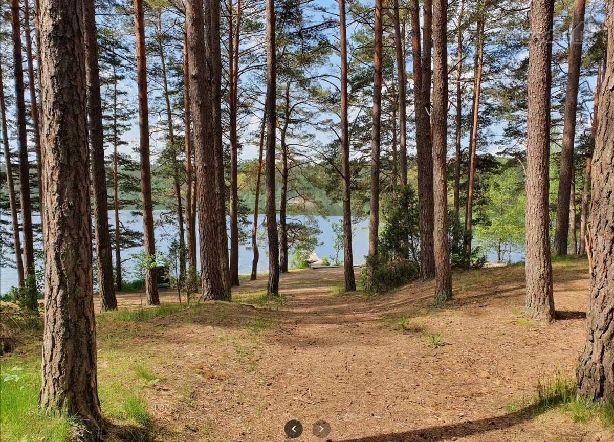 Išskirtinė vieta Vilniaus mieste: tylos ir - nuotraukos Nr. 7