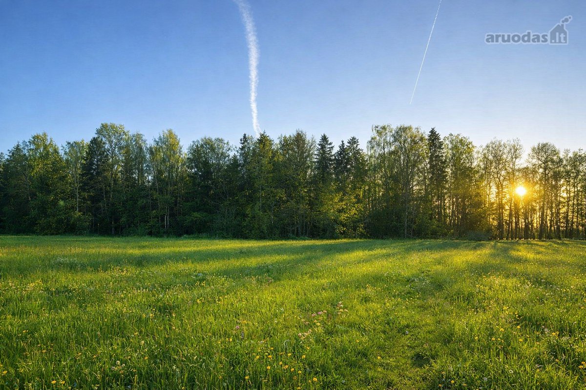 Parduodamas taisyklingos formos 30,16 arų - nuotraukos Nr. 17