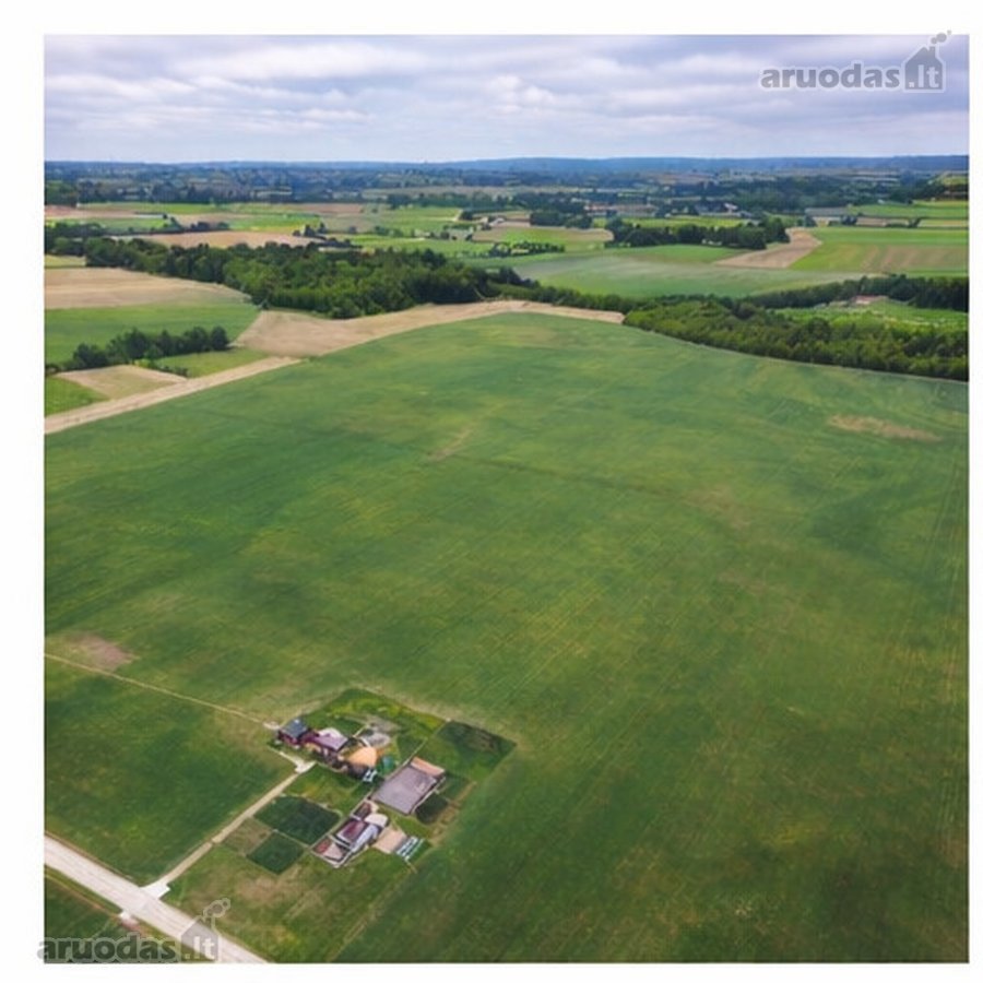 Parduodamas 21,57 ha žemės ūkio paskirties - nuotraukos Nr. 2