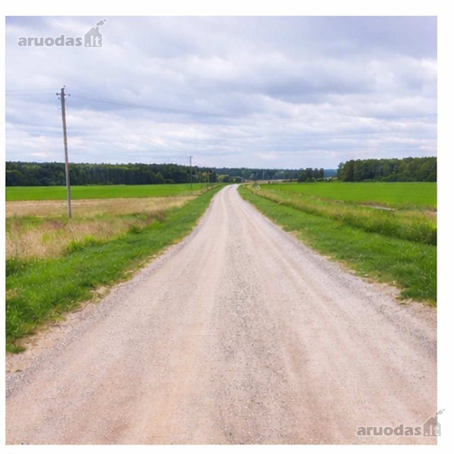 Parduodamas 21,57 ha žemės ūkio paskirties - nuotraukos Nr. 6