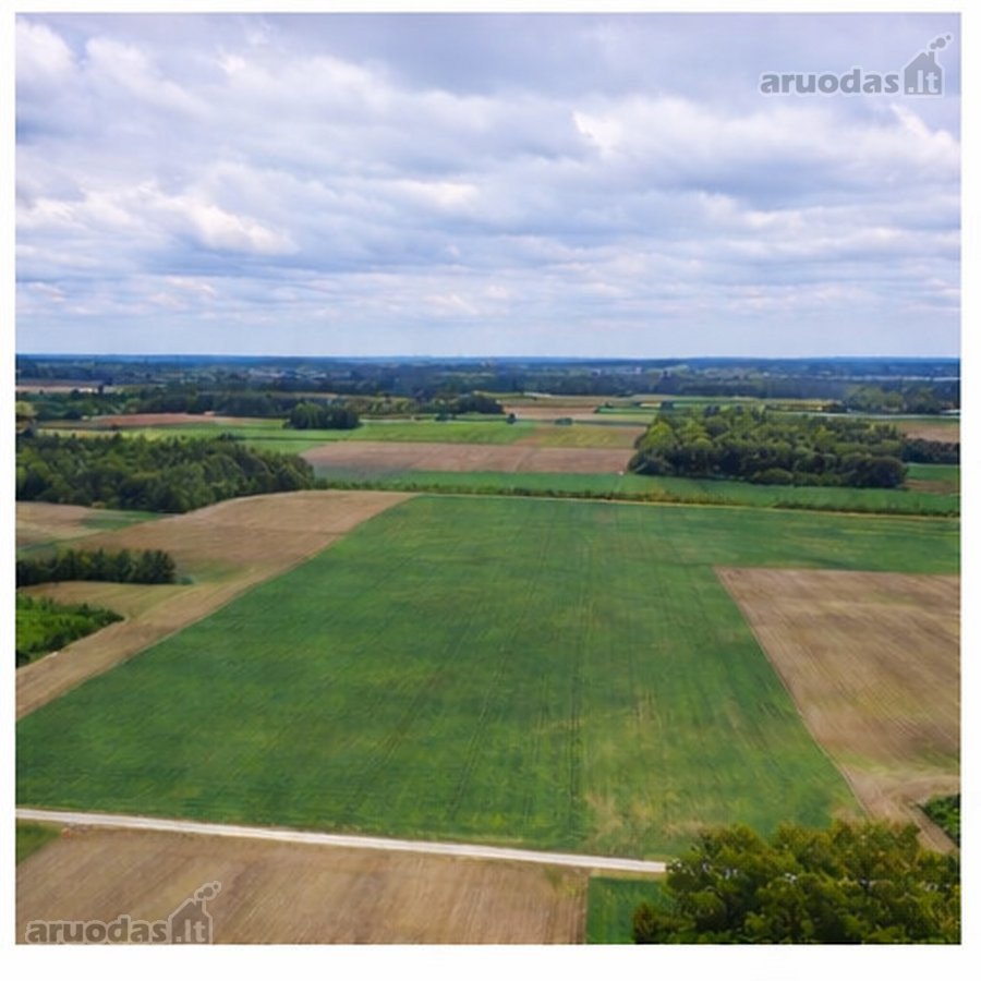 Parduodamas 21,57 ha žemės ūkio paskirties - nuotraukos Nr. 4