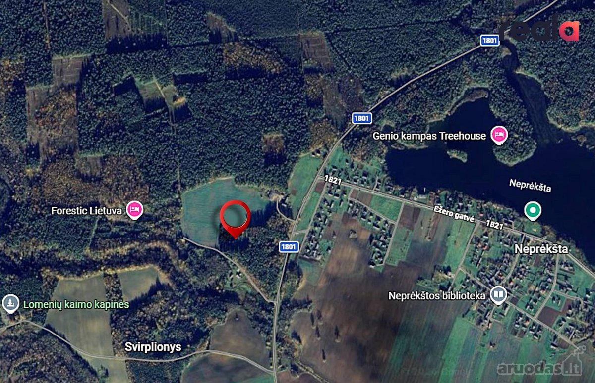 Parduodama Ne Tik Sodyba, Bet Ir Vizija – - nuotraukos Nr. 17