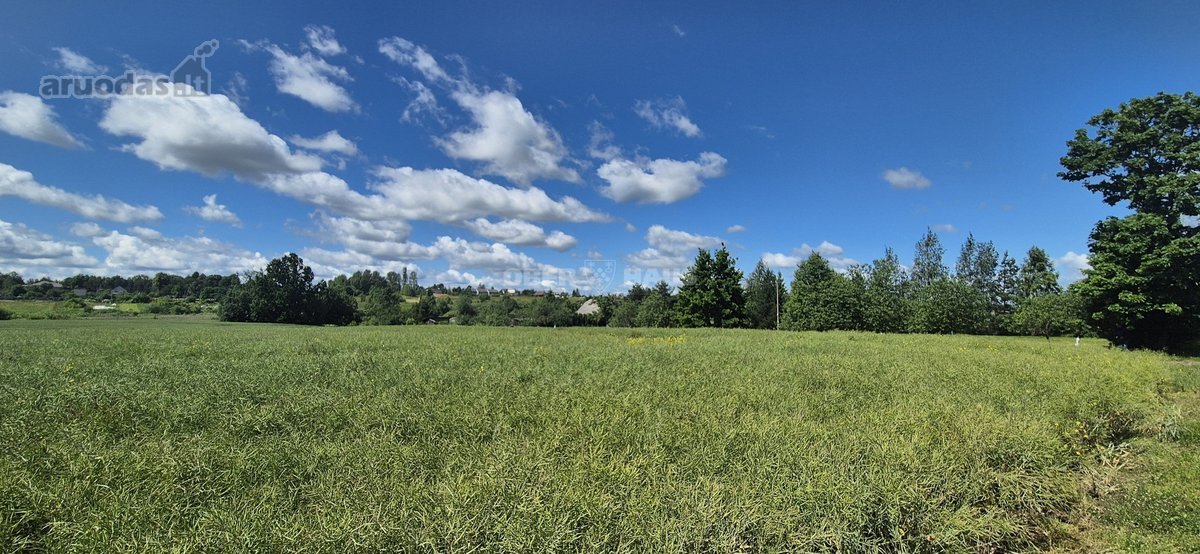Parduodamas išskirtinis žemės sklypų masyvas - nuotraukos Nr. 5