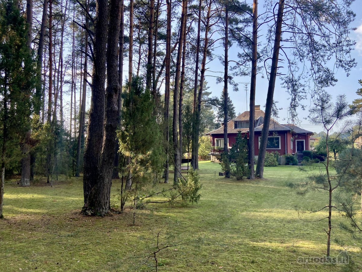 Paruodamas namas su išskirtiniu 16,7 arų