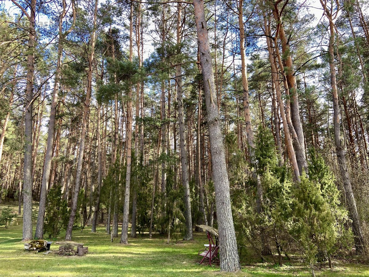 Paruodamas namas su išskirtiniu 16,7 arų - nuotraukos Nr. 5