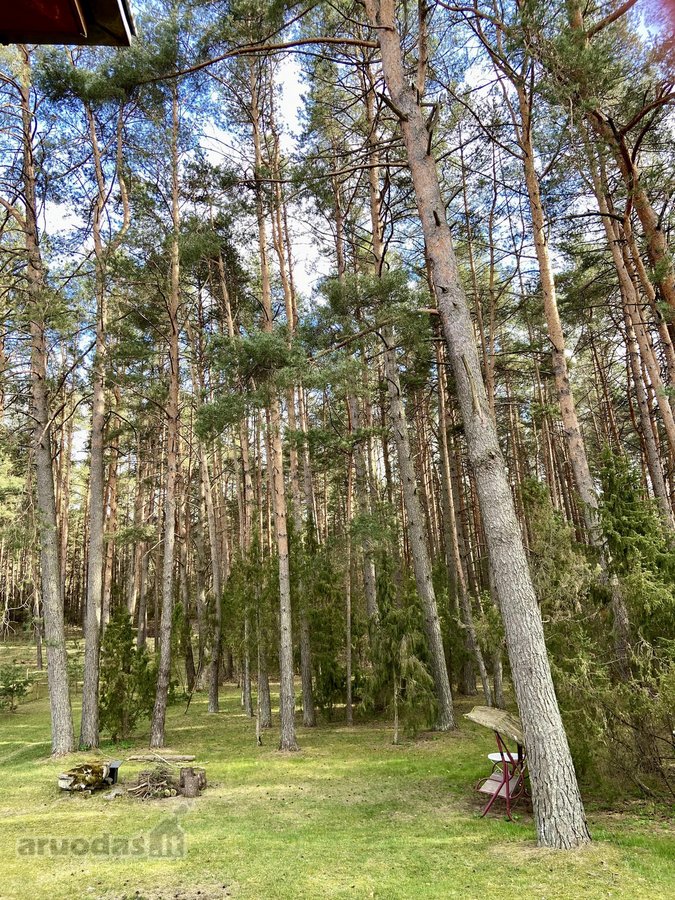 Paruodamas namas su išskirtiniu 16,7 arų - nuotraukos Nr. 6