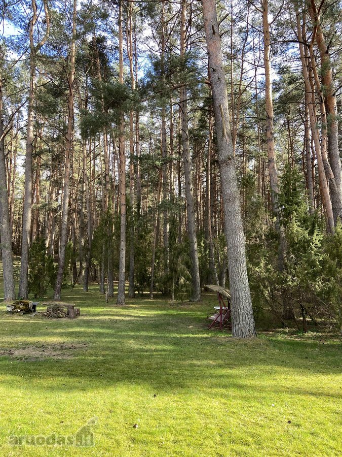 Paruodamas namas su išskirtiniu 16,7 arų - nuotraukos Nr. 2