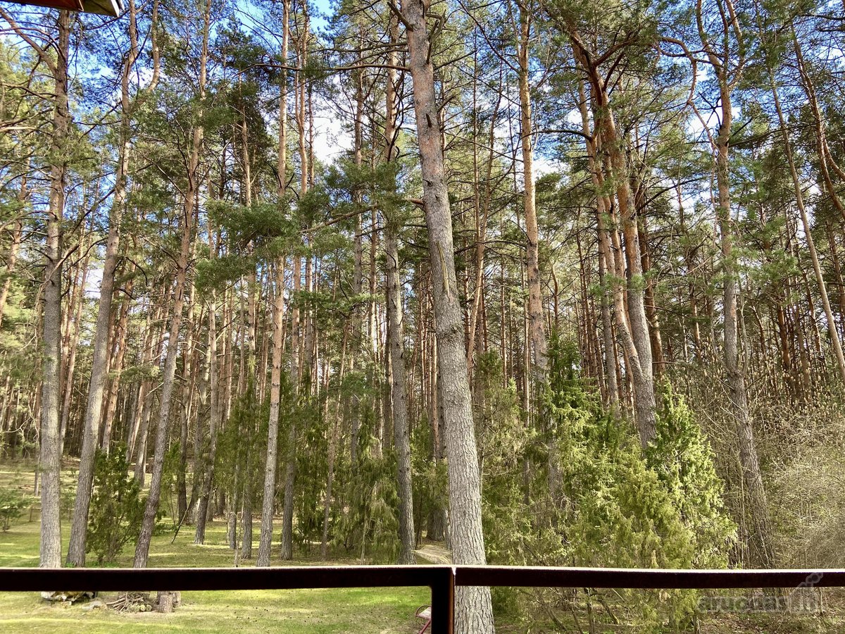 Paruodamas namas su išskirtiniu 16,7 arų - nuotraukos Nr. 7