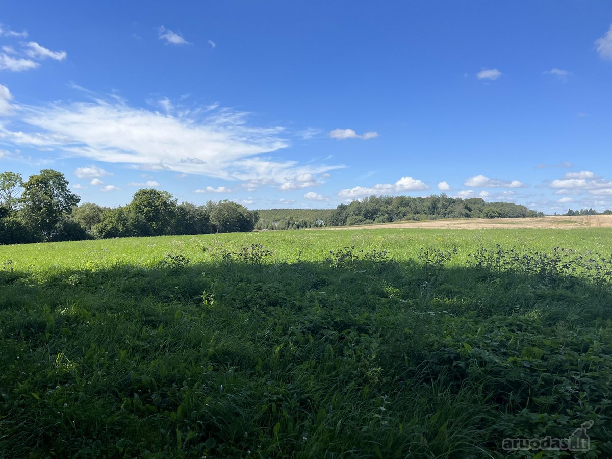 Anykščių rajone, Kurklių seniūnijoje, - nuotraukos Nr. 4