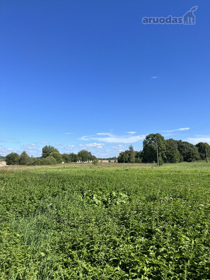 Anykščių rajone, Kurklių seniūnijoje, - nuotraukos Nr. 6