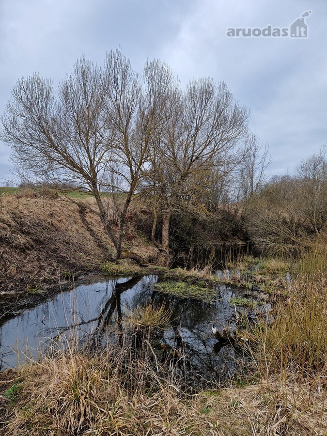 Parduodamas 3,65 ha žemės ūkio paskirties - nuotraukos Nr. 10