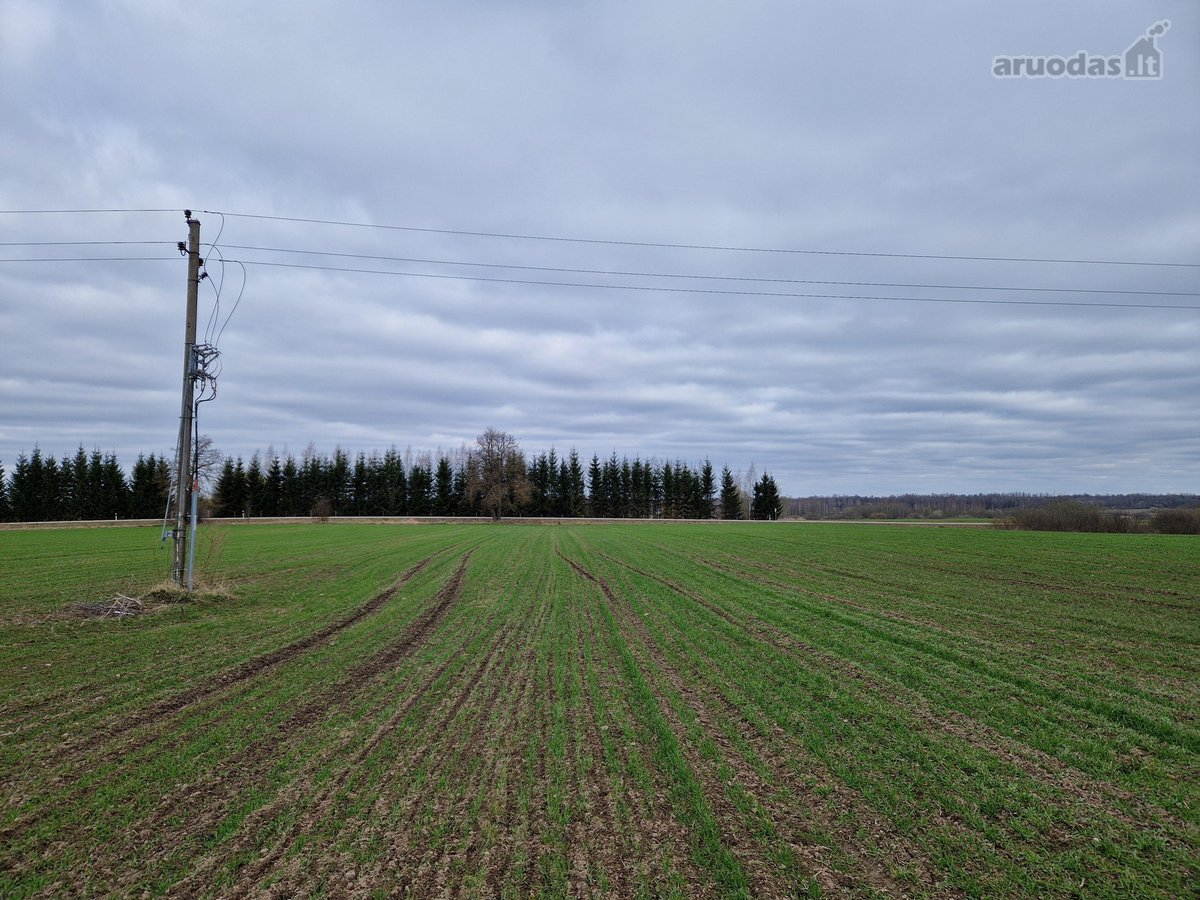 Parduodamas 3,65 ha žemės ūkio paskirties - nuotraukos Nr. 9