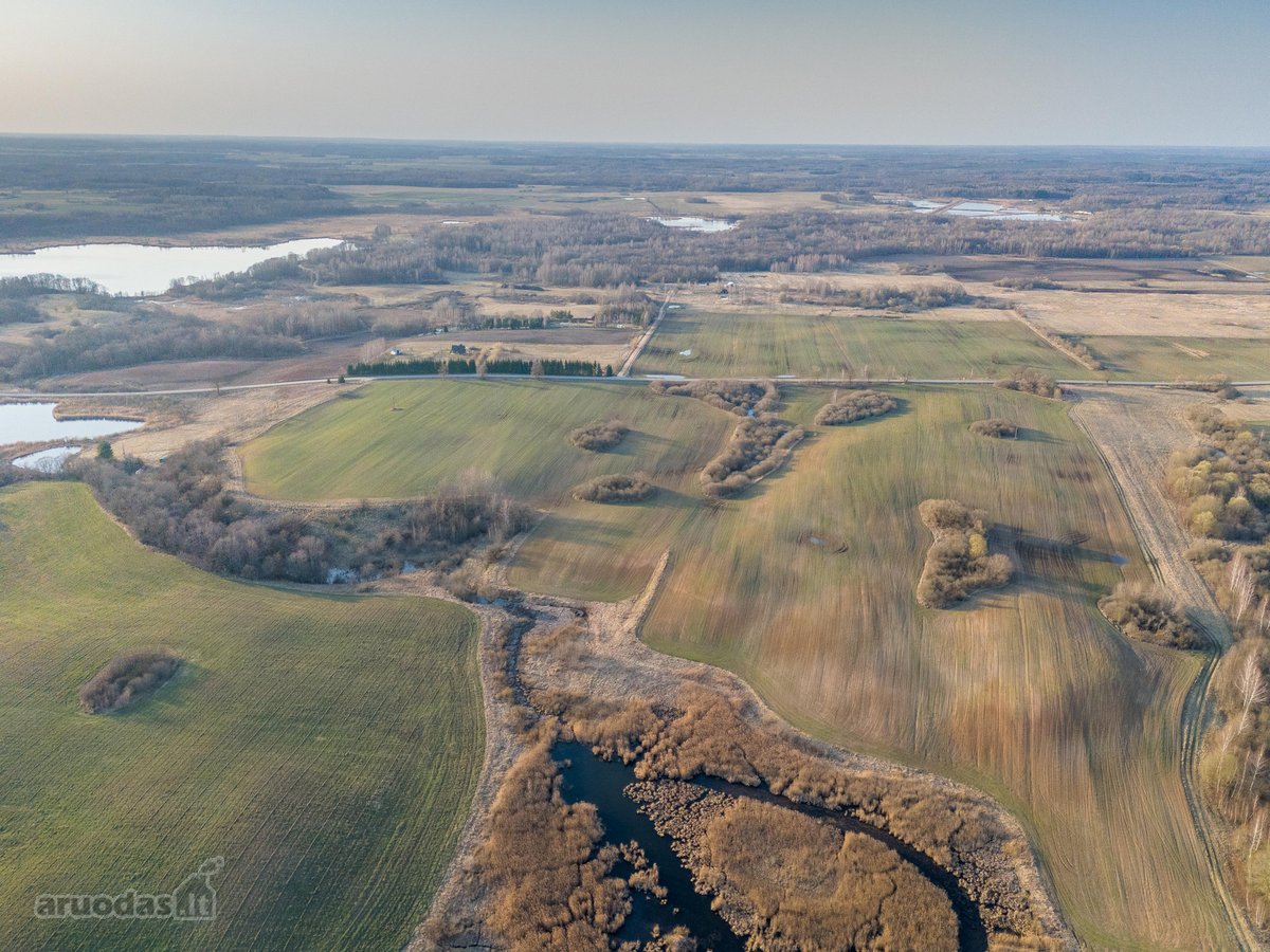 Parduodamas 3,65 ha žemės ūkio paskirties - nuotraukos Nr. 6