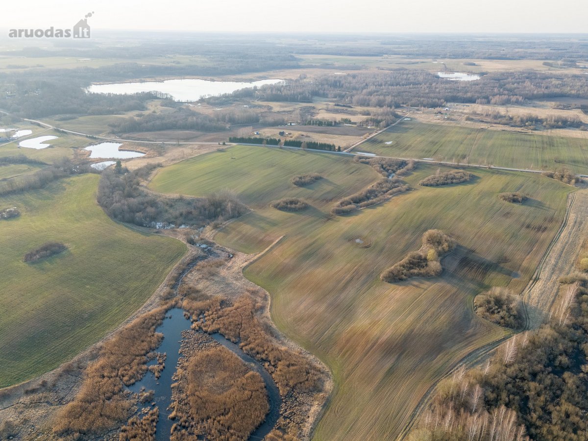 Parduodamas 3,65 ha žemės ūkio paskirties - nuotraukos Nr. 5