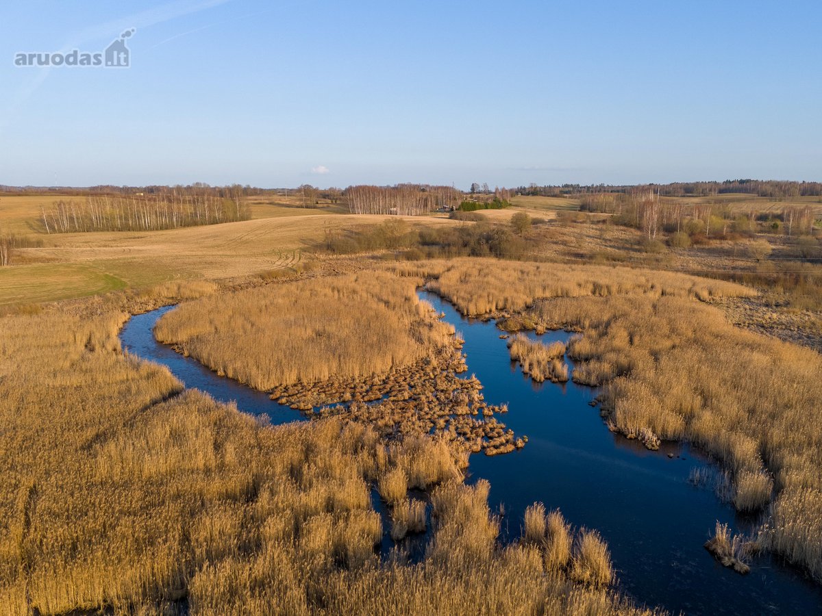 Parduodamas 3,65 ha žemės ūkio paskirties - nuotraukos Nr. 8