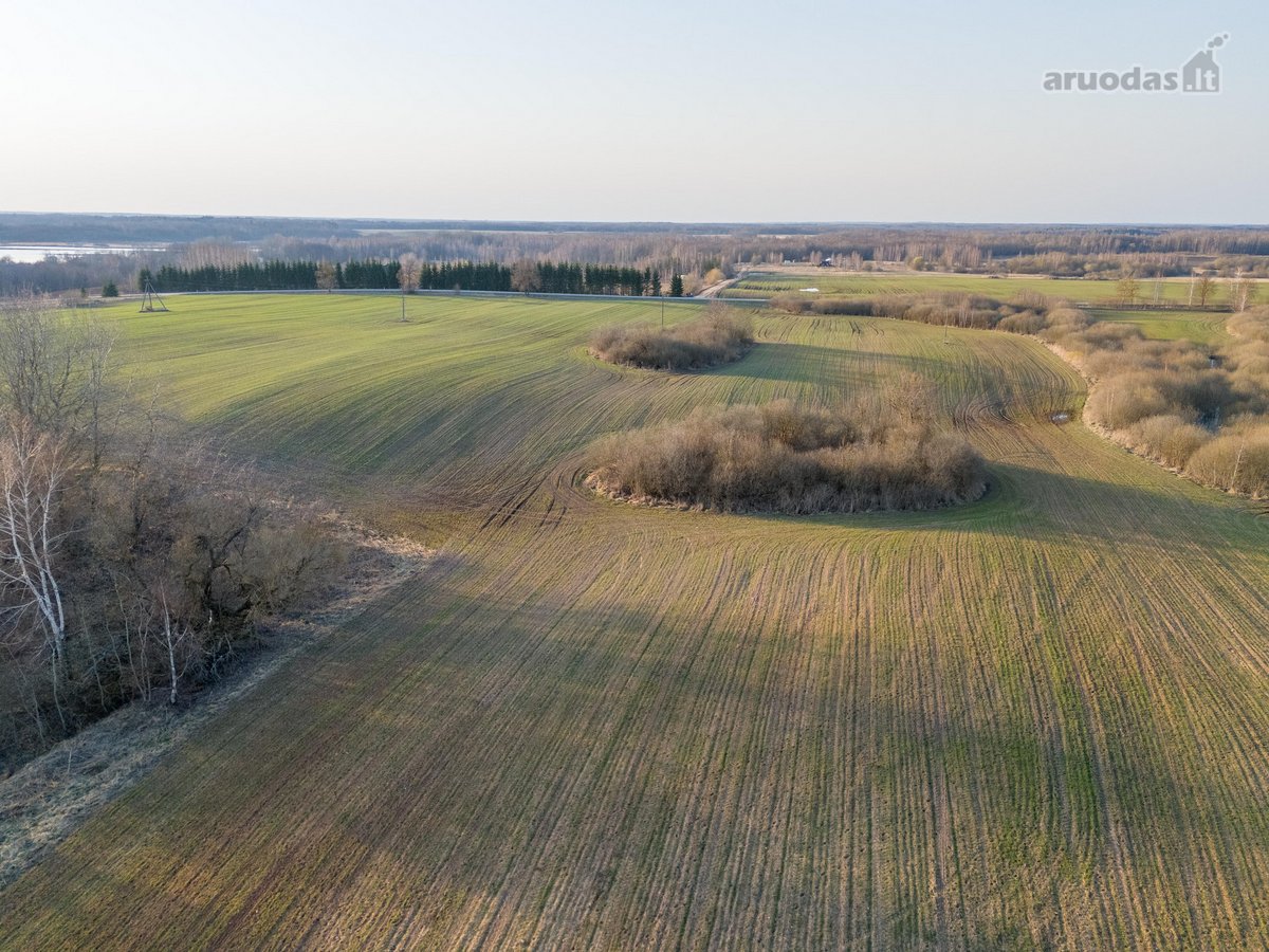 Parduodamas 3,65 ha žemės ūkio paskirties - nuotraukos Nr. 7