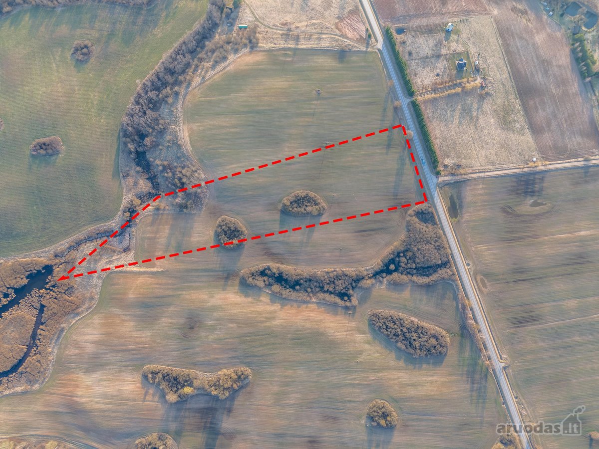 Parduodamas 3,65 ha žemės ūkio paskirties - nuotraukos Nr. 4