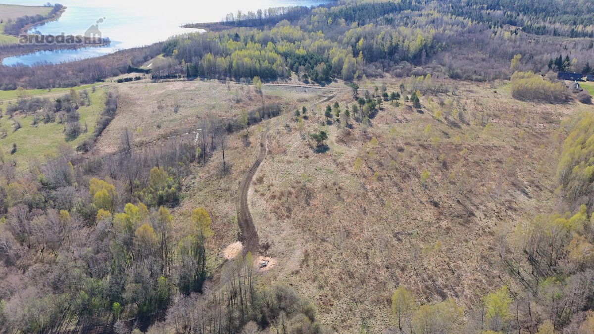 Parduodamas Erdvus Sklypas Miško Apsuptyje Ir - nuotraukos Nr. 10