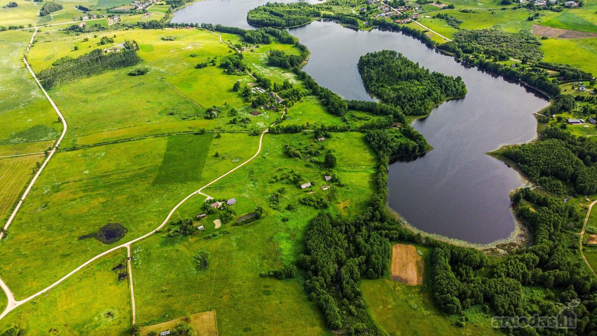 Parduodamas erdvus 3,15 ha žemės ūkio - nuotraukos Nr. 3