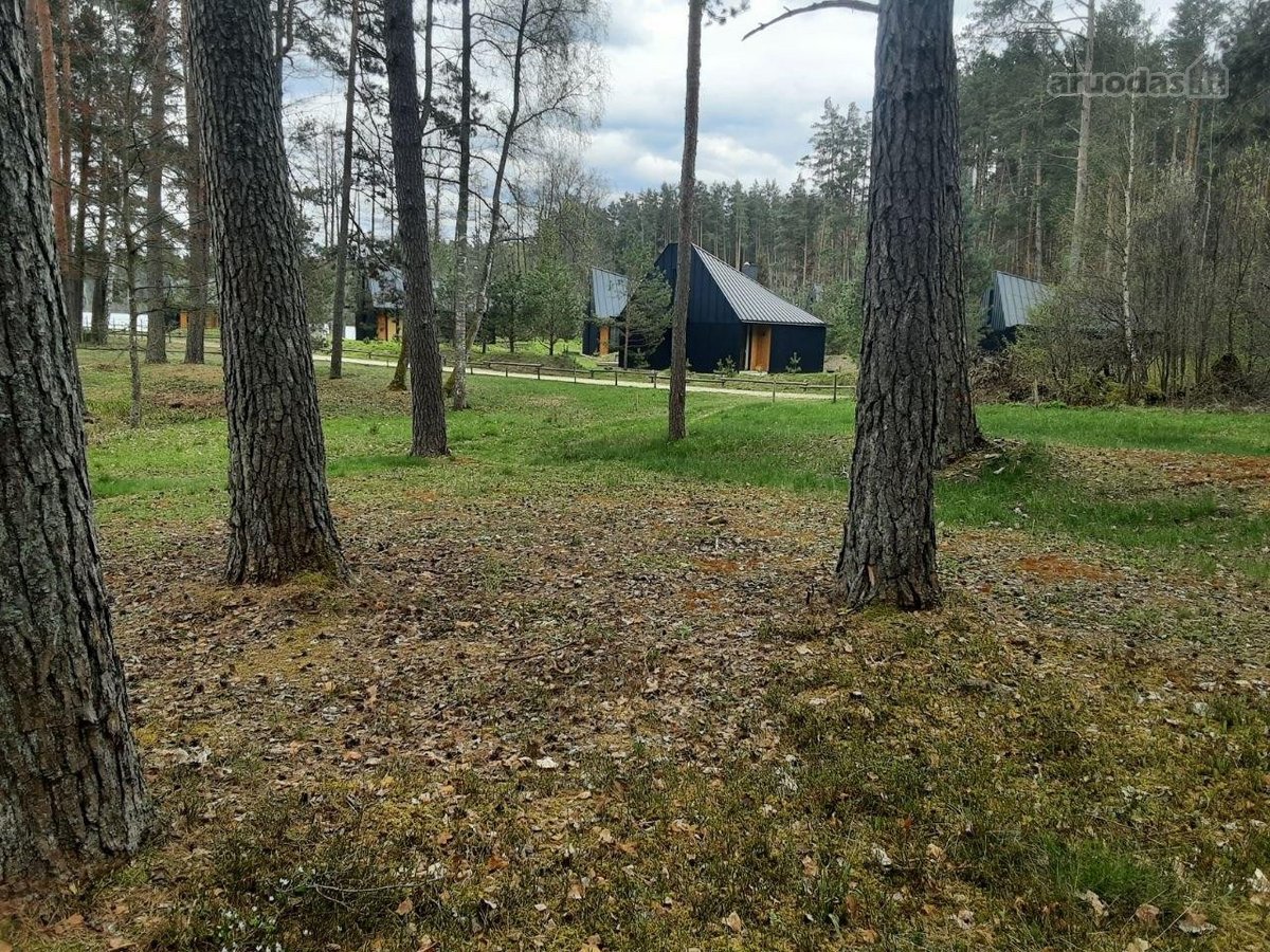 Šalia Dviejų Ežerų Ir Upių - nuotraukos Nr. 8