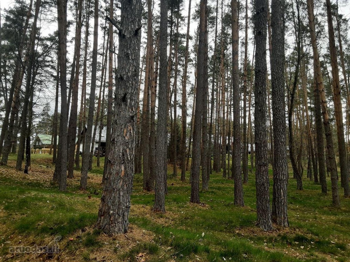 Šalia Dviejų Ežerų Ir Upių - nuotraukos Nr. 23
