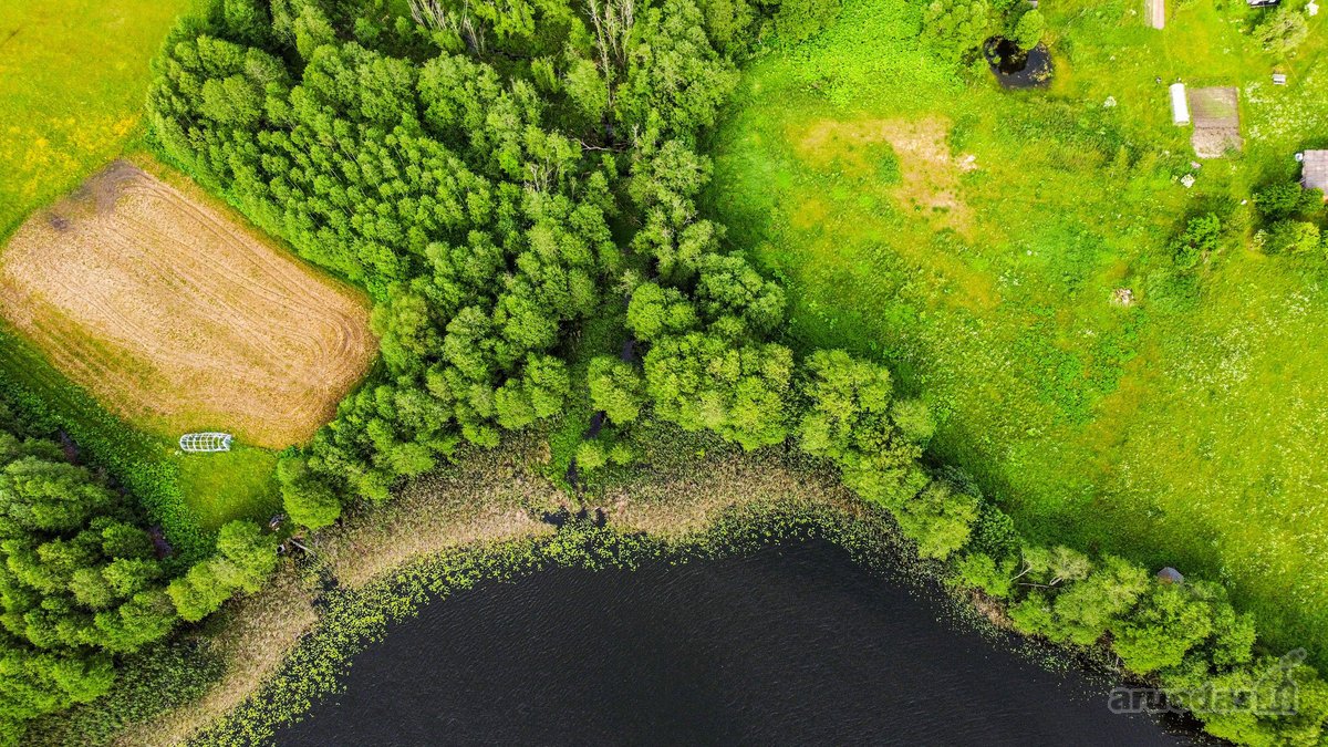 Parduodamas erdvus 3,15 ha žemės ūkio - nuotraukos Nr. 5