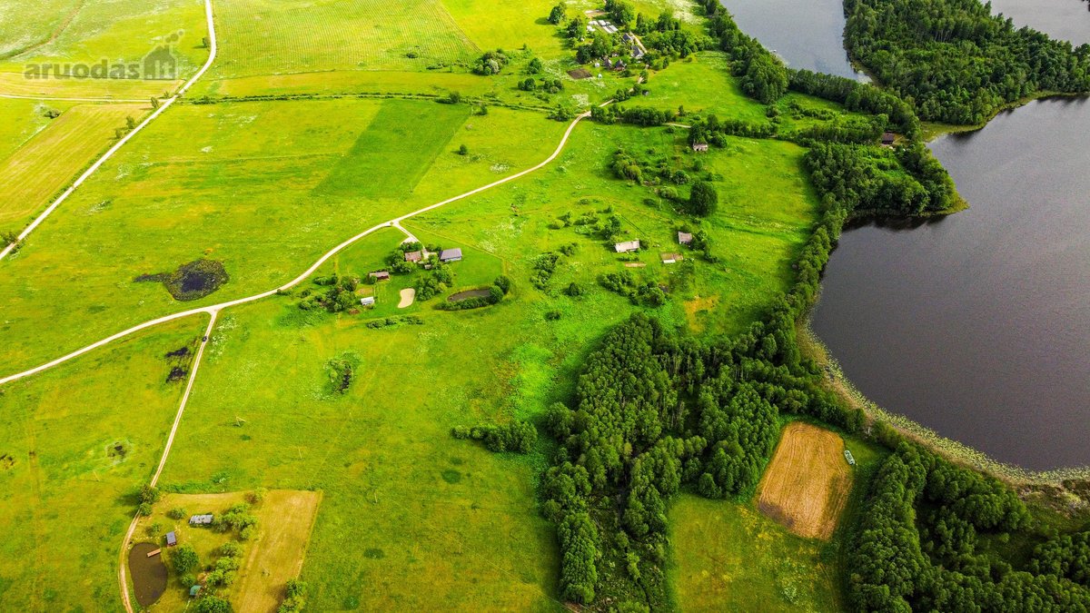 Parduodamas erdvus 3,15 ha žemės ūkio - nuotraukos Nr. 6