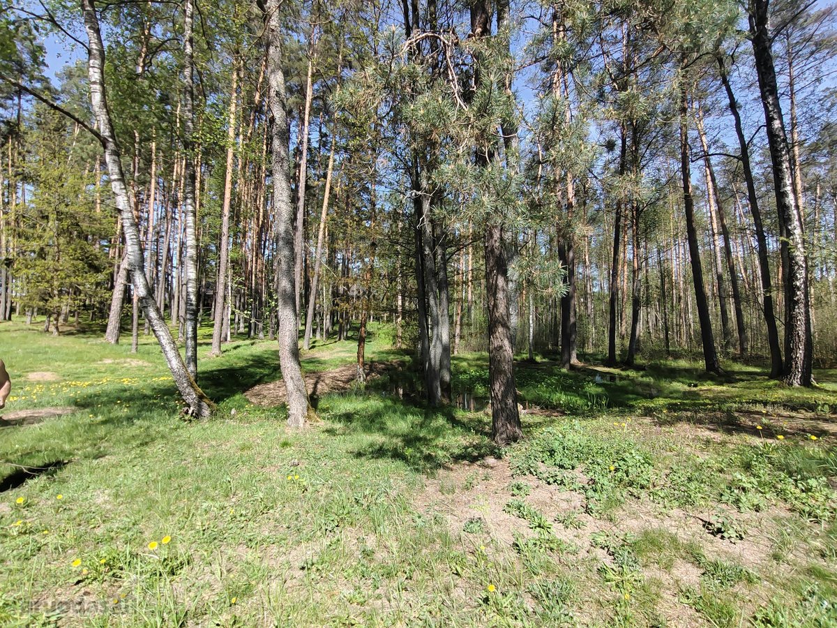 Šalia Dviejų Ežerų Ir Upių - nuotraukos Nr. 24