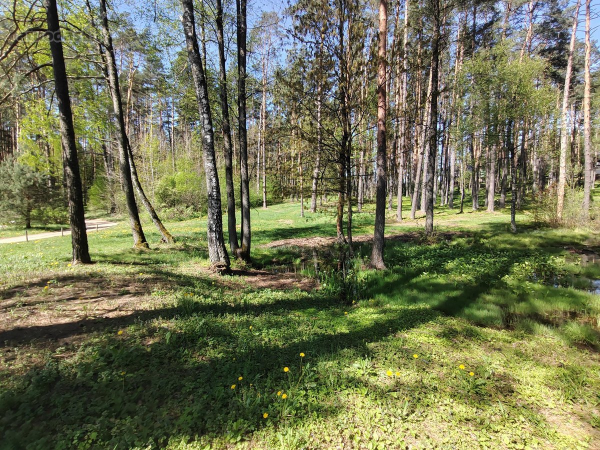 Šalia Dviejų Ežerų Ir Upių - nuotraukos Nr. 27