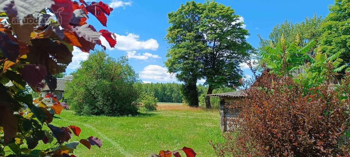 Labai tylioje ir ramioje vietoje, ant