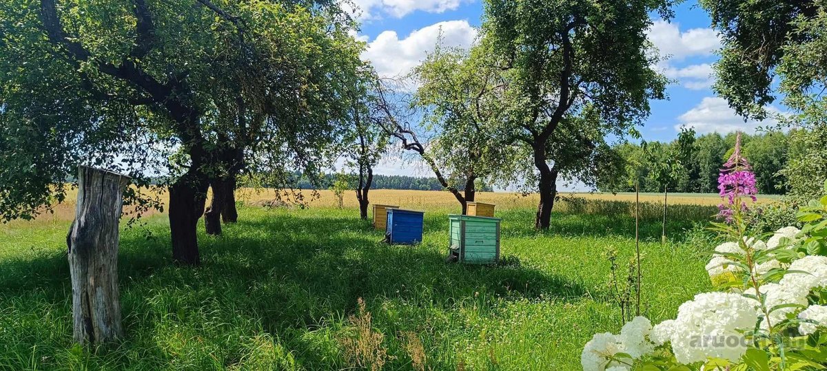 Labai tylioje ir ramioje vietoje, ant - nuotraukos Nr. 4
