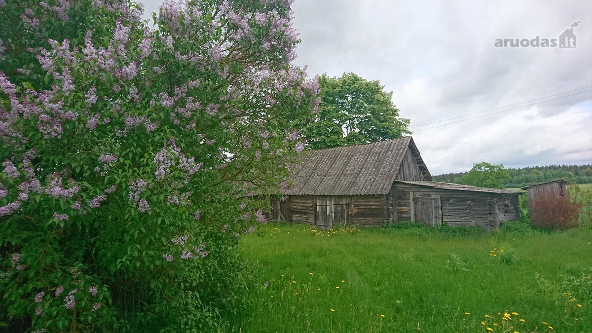 Labai tylioje ir ramioje vietoje, ant - nuotraukos Nr. 5