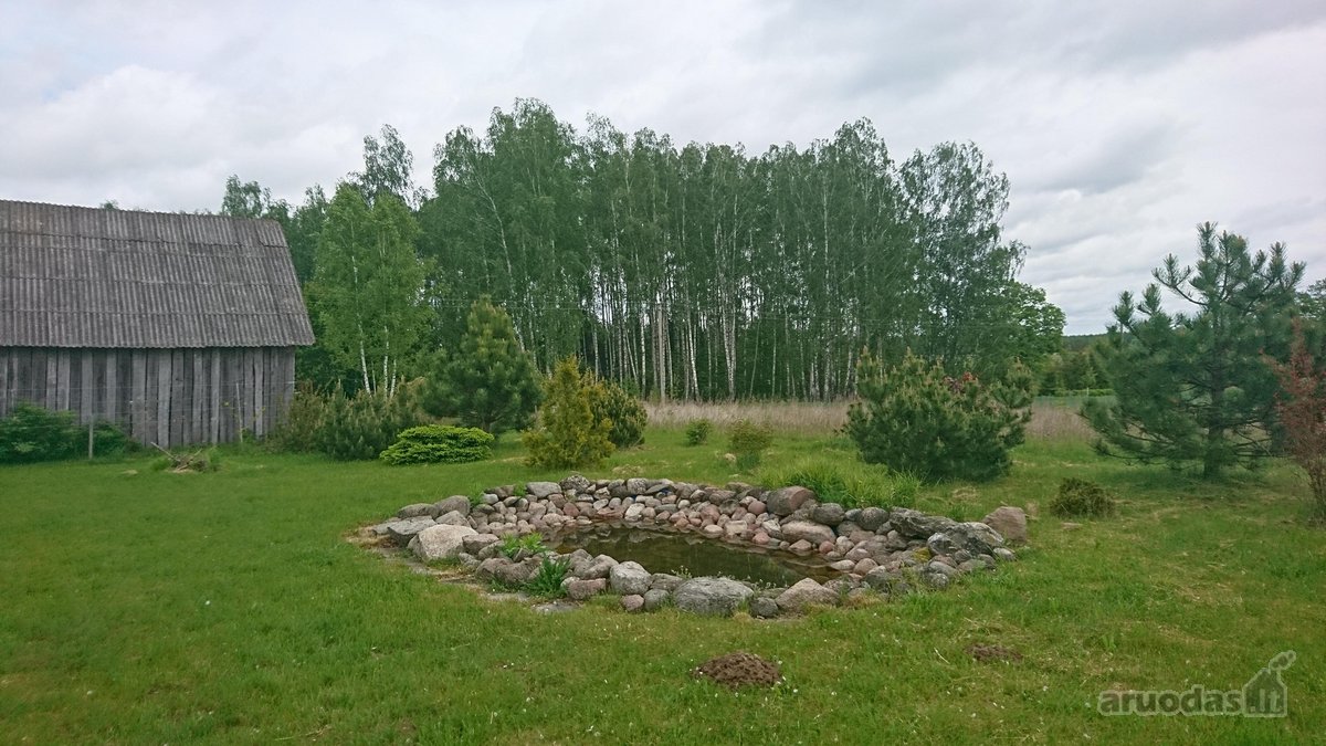 Labai tylioje ir ramioje vietoje, ant - nuotraukos Nr. 6