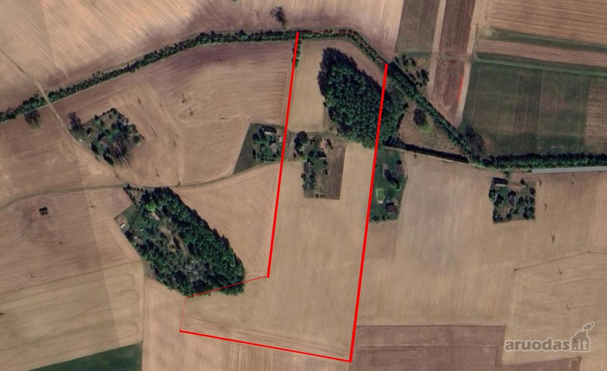 Labai tylioje ir ramioje vietoje, ant - nuotraukos Nr. 14