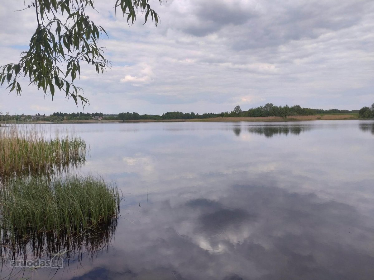 Labai tylioje ir ramioje vietoje, ant - nuotraukos Nr. 13