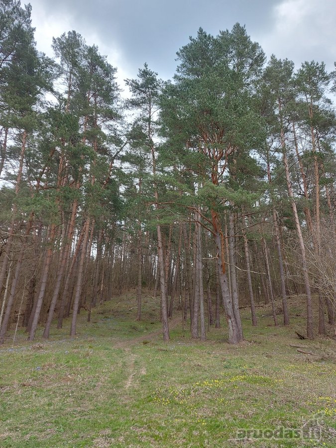 Parduodamas 0,95 ha sklypas Trakų r., - nuotraukos Nr. 3