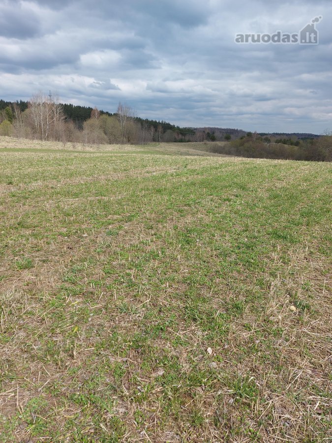 Parduodamas 0,95 ha sklypas Trakų r., - nuotraukos Nr. 4