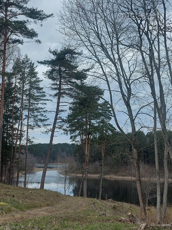 Parduodamas 0,95 ha sklypas Trakų r., - nuotraukos Nr. 6