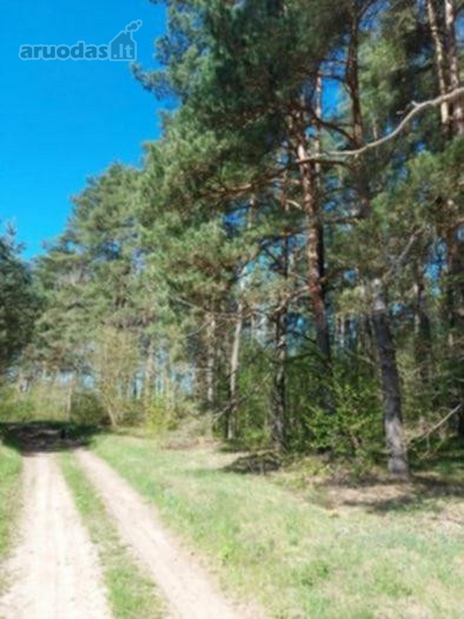 Parduodamas 0,95 ha sklypas Trakų r., - nuotraukos Nr. 9
