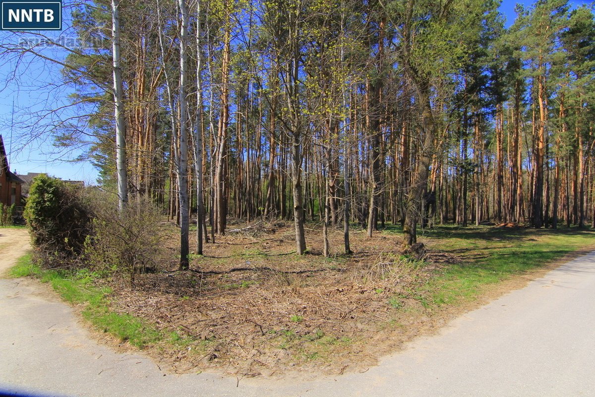 Parduodamas nestandartinis objektas - Du - nuotraukos Nr. 15