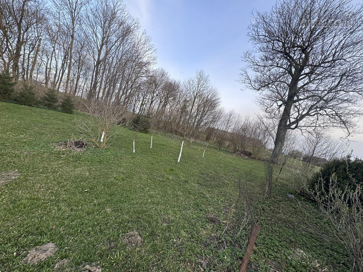Parduodamas namų valdos sklypas 0,3276 ha. - nuotraukos Nr. 2