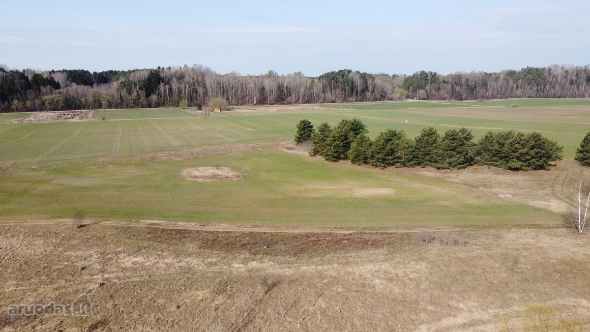 Išskirtinis 5,4636 ha. ploto sklypas prie - nuotraukos Nr. 7