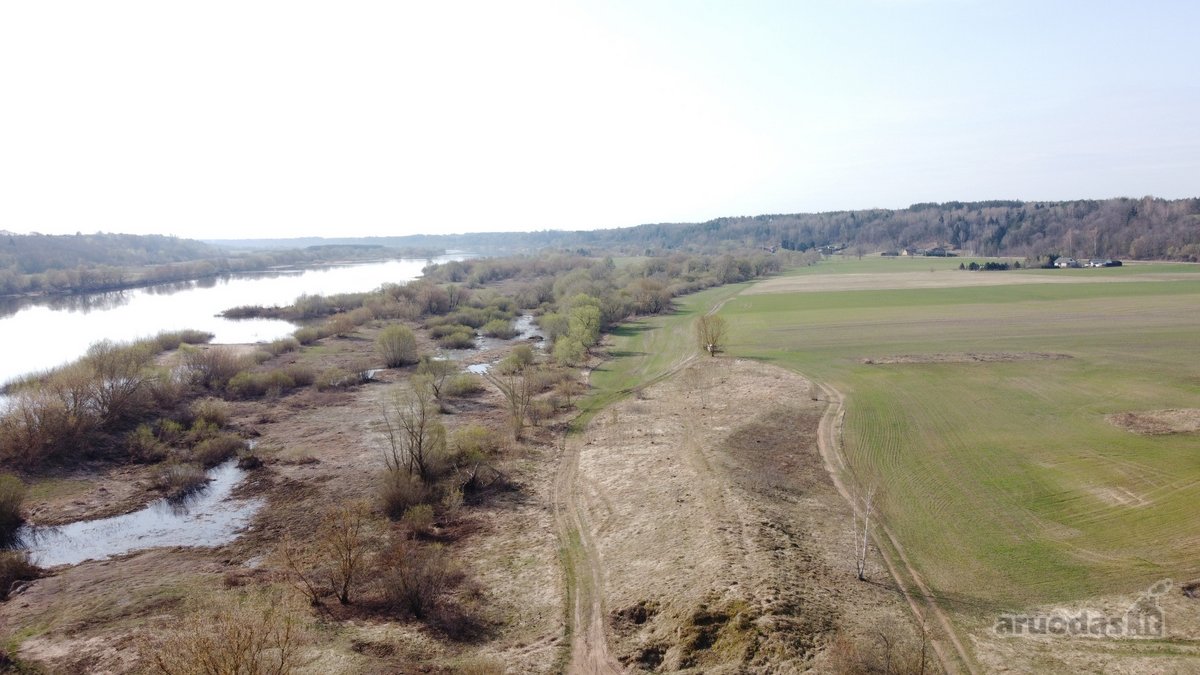 Išskirtinis 5,4636 ha. ploto sklypas prie - nuotraukos Nr. 9