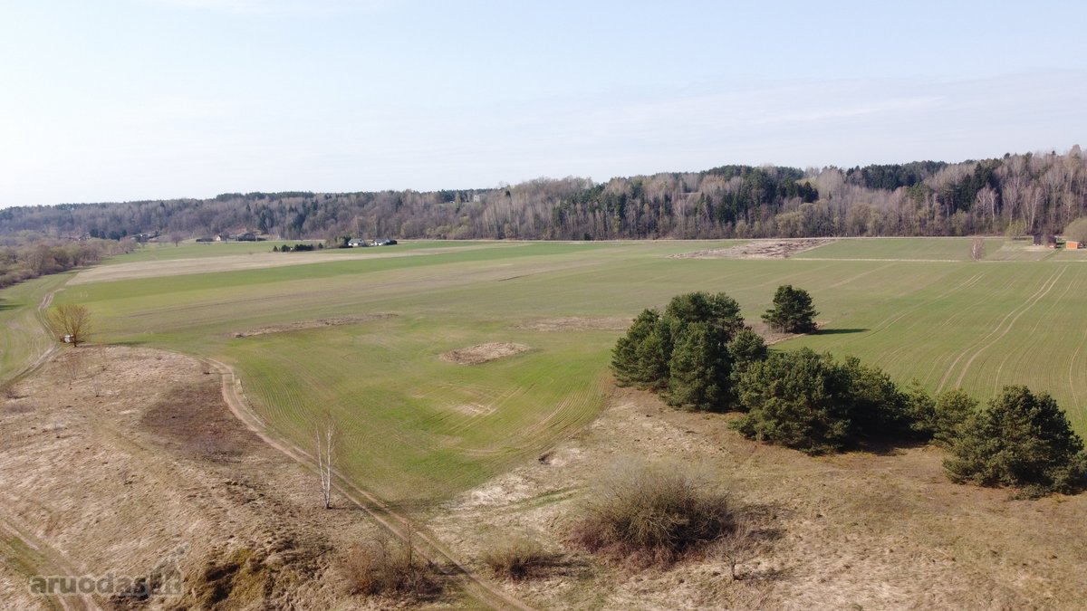 Išskirtinis 5,4636 ha. ploto sklypas prie - nuotraukos Nr. 10