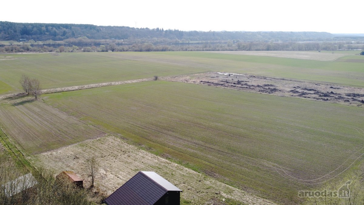 Išskirtinis 5,4636 ha. ploto sklypas prie - nuotraukos Nr. 13