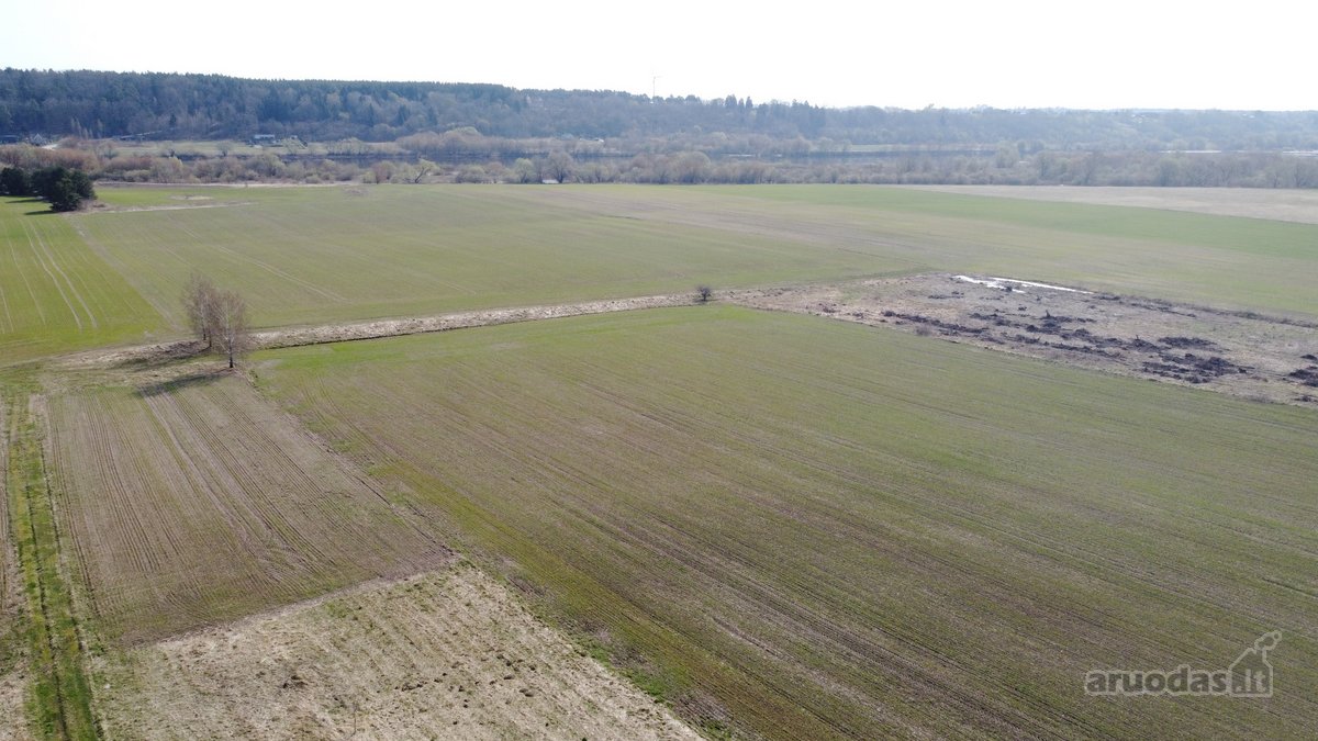 Išskirtinis 5,4636 ha. ploto sklypas prie - nuotraukos Nr. 17