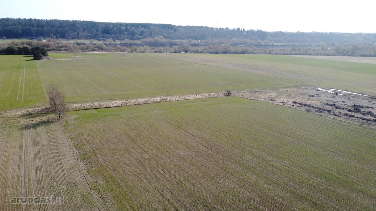 Išskirtinis 5,4636 ha. ploto sklypas prie - nuotraukos Nr. 15